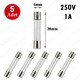 1A 250V 6X30mm Cam Sigorta 5 Adet