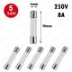 8A 250V 6X30mm Cam Sigorta 5 Adet